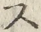 𡨸ス