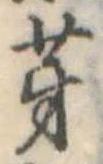 芽 위치 확인됨