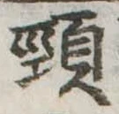 頸 위치 확인됨