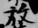已定位放