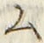 字ム