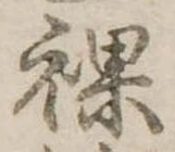 裸 위치 확인됨