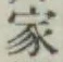 글자 家