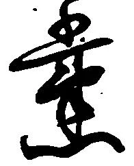 党の位置
