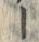 「ー」字