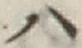 글자 ハ