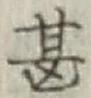 글자 甚