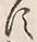 「す」字