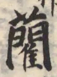 藺の位置