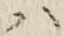 글자 ハ