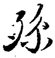 孫 위치 확인됨