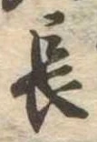 長 위치 확인됨