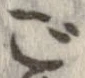 已定位ご