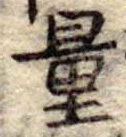 Đã định vị 量
