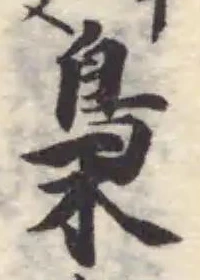 Đã định vị 梟