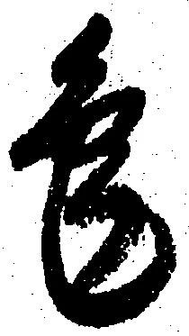 兎 위치 확인됨