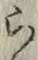 字ら