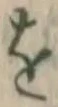 文字 を