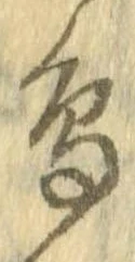 已定位鳥