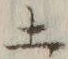 字土