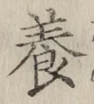 Chữ 養