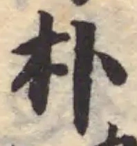 朴の位置
