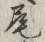 尾 위치 확인됨