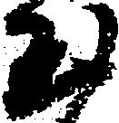 已定位玉