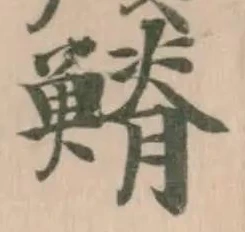 𩺀の位置