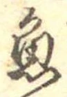 魚 위치 확인됨