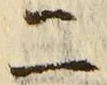 “二”字