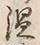 Character 面