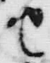 文字堀