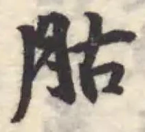 Đã định vị 胋