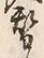 글자 替