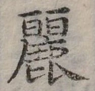 已定位麗