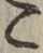 글자 こ