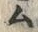 𡨸ム