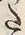 “た”字
