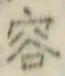 文字容