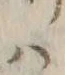 𡨸ハ