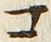 「コ」字