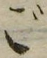 ご 위치 확인됨