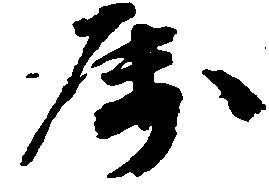 属の位置