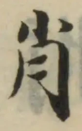 肖 위치 확인됨