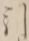 글자 引
