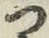 文字 つ