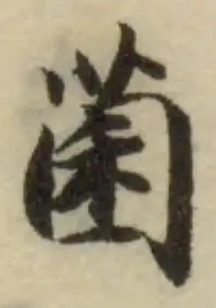 位置定マレル菌