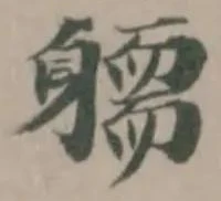 𨉿 위치 확인됨