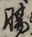 文字腸